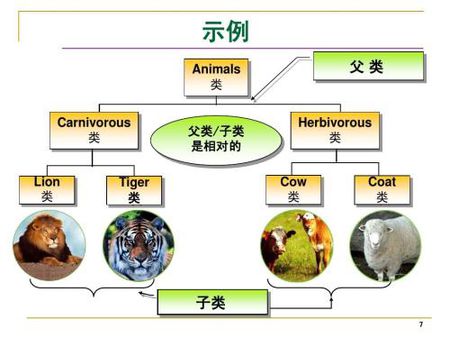 什么是多态？？？多态的概念及作用(好处)